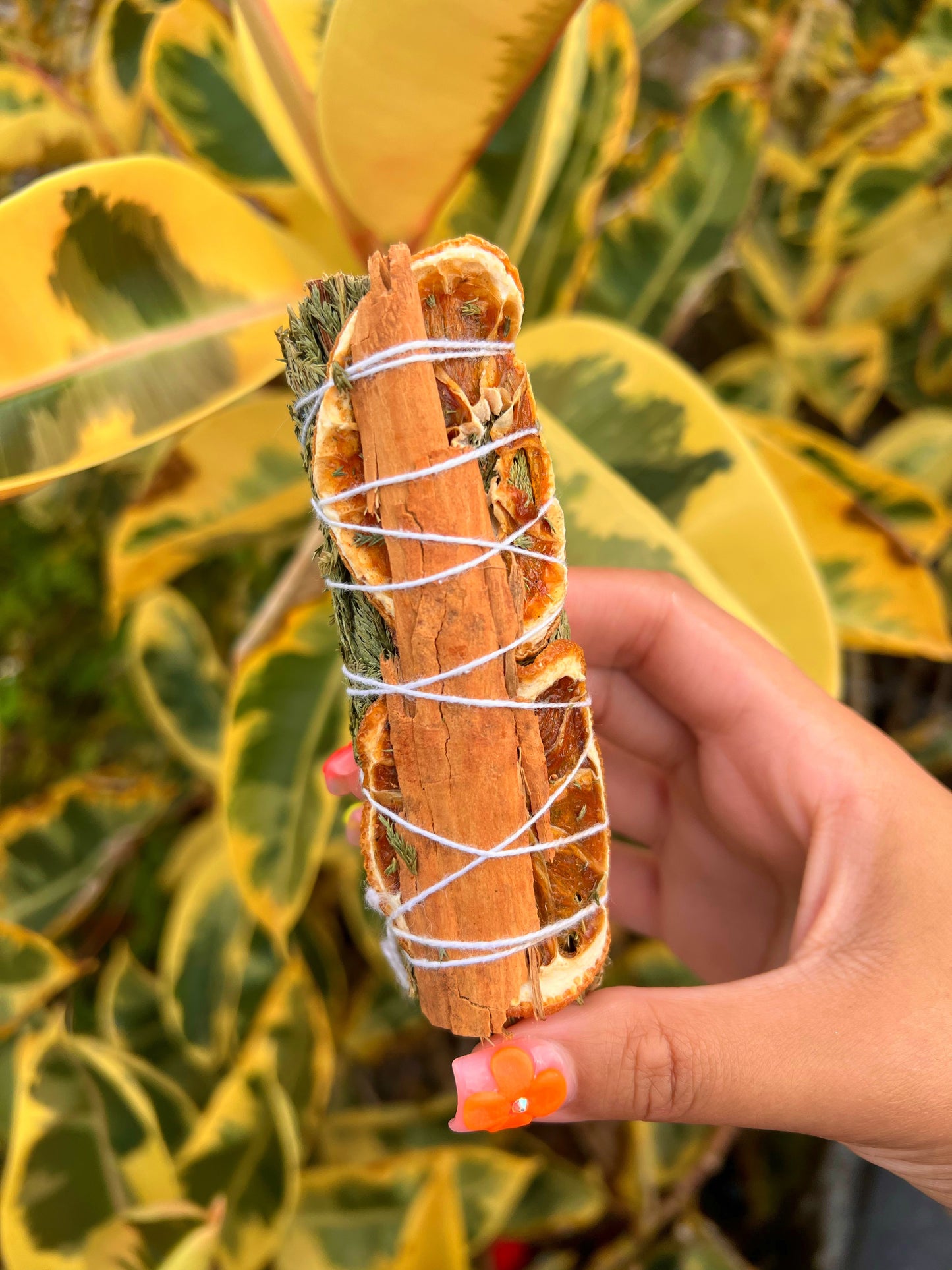 CEDAR, CINNAMON & ORANGE SMUDGE STICK image 0