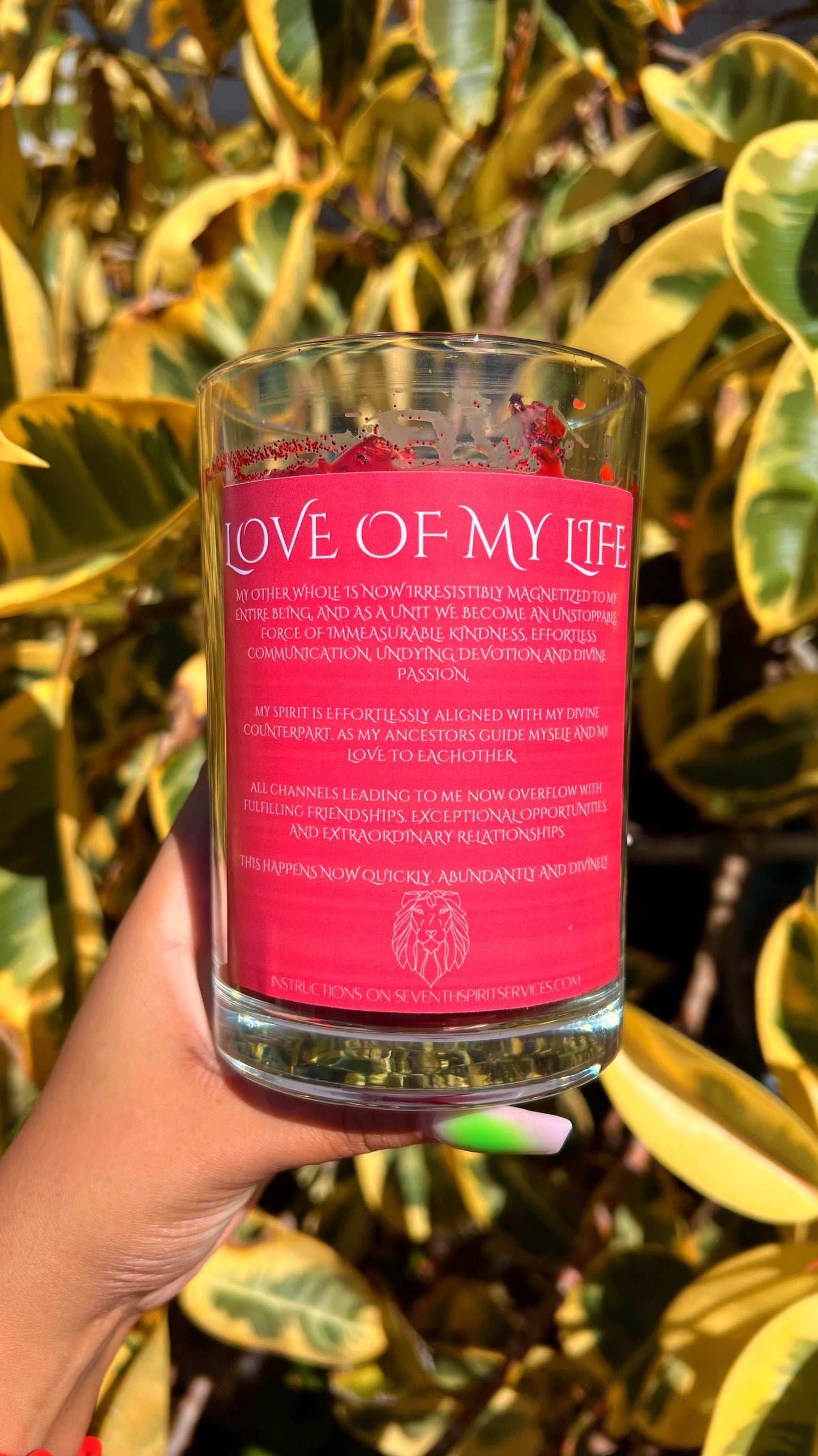 LOVE OF MY LIFE XL image 0